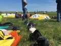 Paragliding/Gleitschirmfliegen Flugplatz Goerlitz, Sachsen